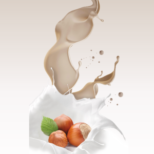 Crema cioccolato bianco e nocciole x 2kg