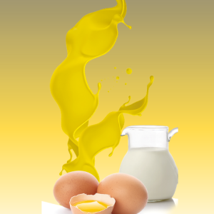 Crema pasticcera x 2kg